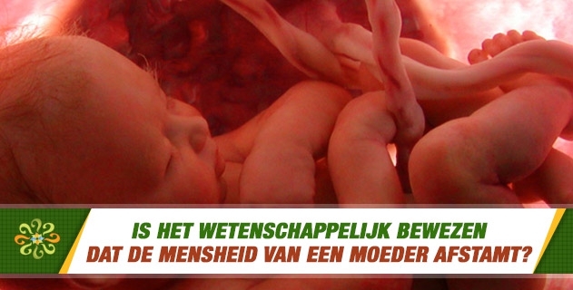 Is het wetenschappelijk bewezen dat de mensheid van een moeder afstamt?
