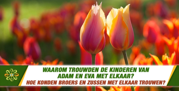Waarom trouwden de kinderen van Adam en Eva met elkaar? Hoe konden broers en zussen met elkaar trouwen?